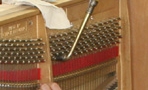 Praktická výuka výroby pianin